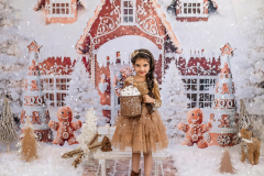 Natalie-L-Photography2025ChristmasMiniSessions02