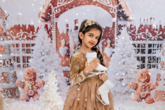 Natalie-L-Photography2025ChristmasMiniSessions06