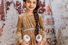 Natalie-L-Photography2025ChristmasMiniSessions07