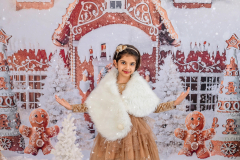 Natalie-L-Photography2025ChristmasMiniSessions08