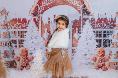 Natalie-L-Photography2025ChristmasMiniSessions10
