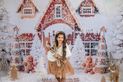 Natalie-L-Photography2025ChristmasMiniSessions14