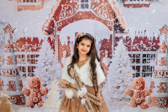 Natalie-L-Photography2025ChristmasMiniSessions15