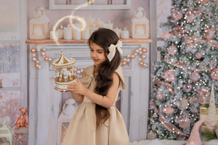 Natalie-L-Photography2025ChristmasMiniSessions20