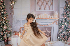 Natalie-L-Photography2025ChristmasMiniSessions21