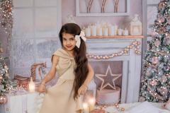Natalie-L-Photography2025ChristmasMiniSessions22