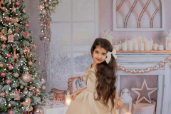 Natalie-L-Photography2025ChristmasMiniSessions23