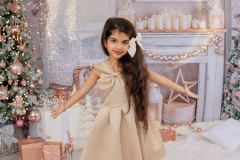 Natalie-L-Photography2025ChristmasMiniSessions24