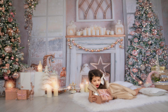 Natalie-L-Photography2025ChristmasMiniSessions25