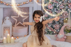 Natalie-L-Photography2025ChristmasMiniSessions27