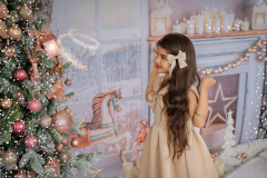 Natalie-L-Photography2025ChristmasMiniSessions29