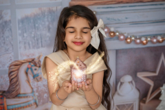 Natalie-L-Photography2025ChristmasMiniSessions31