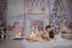 Natalie-L-Photography2025ChristmasMiniSessions34