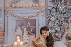 Natalie-L-Photography2025ChristmasMiniSessions35