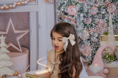 Natalie-L-Photography2025ChristmasMiniSessions39