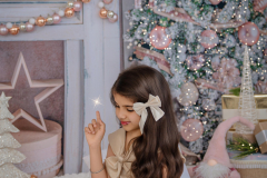 Natalie-L-Photography2025ChristmasMiniSessions40