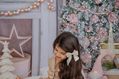 Natalie-L-Photography2025ChristmasMiniSessions41