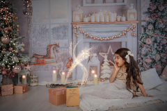 Natalie-L-Photography2025ChristmasMiniSessions43