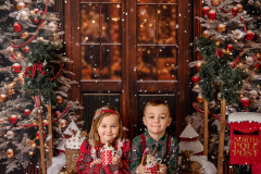 Christmas mini sessions 2026 6