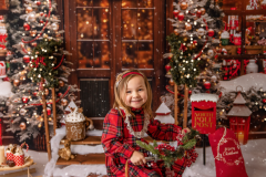 Christmas mini sessions 2026 12