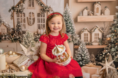 Christmas mini sessions 2026 16