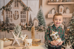 Christmas mini sessions 2026 14
